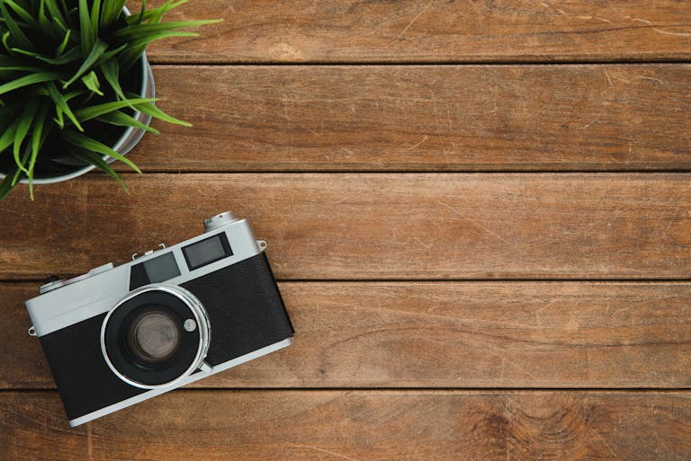 camera and potted plant on wooden surface. photography tips for solo travellers