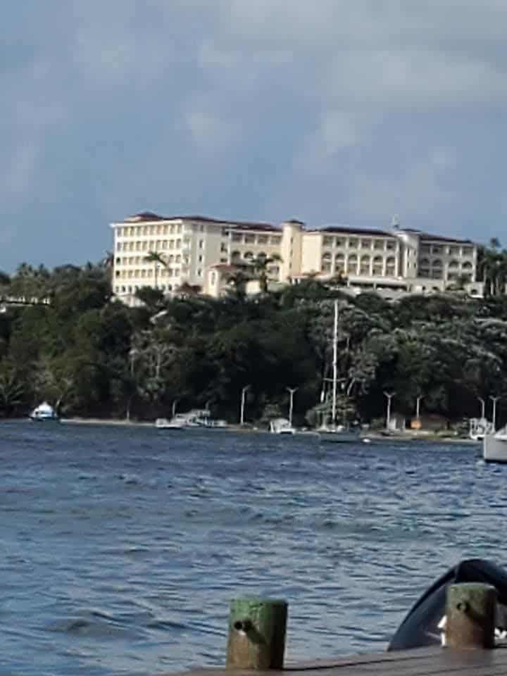 Whale watching in Samana is a popular activity. Between January and March book a tour to view the whales breaching in Samana harbour