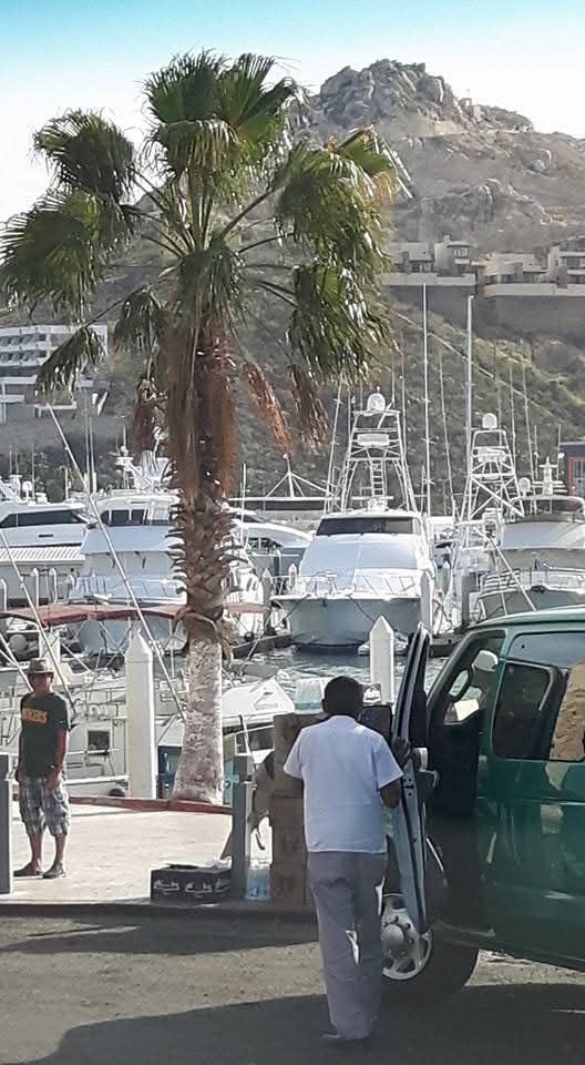 Cabo San Lucas is a touristy area of Los Cabos which is close to the harbour