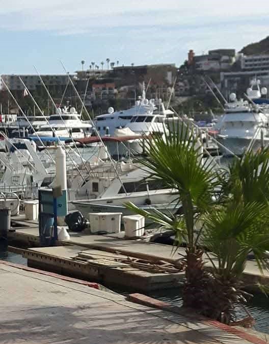 Staying in Cabo San Lucas will put you close to the restaurants, nightlife, and the marina