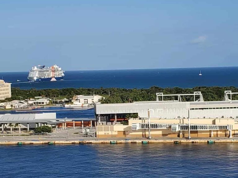 complete guide of the pros and cons of cruising