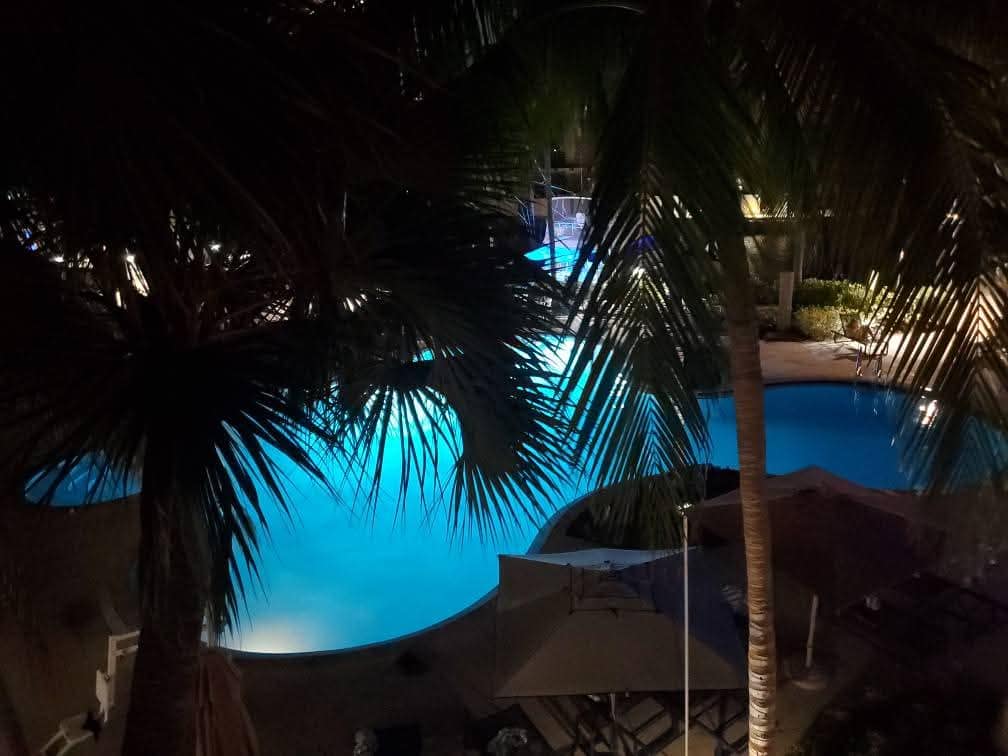 The outdoor pool surrounded by palm trees makes the Hilton Fort Lauderdale Marina the ideal hotel for a pre cruise stay
